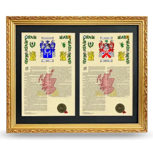 Double Armorial History Framed - Gold