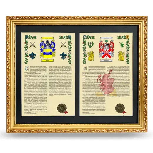 Double Armorial History Framed - Gold