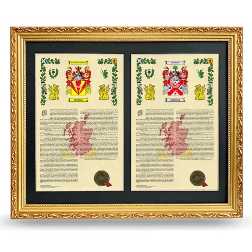 Double Armorial History Framed - Gold