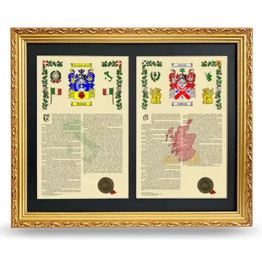 Double Armorial History Framed - Gold