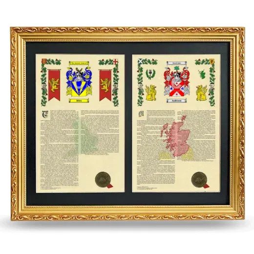 Double Armorial History Framed - Gold