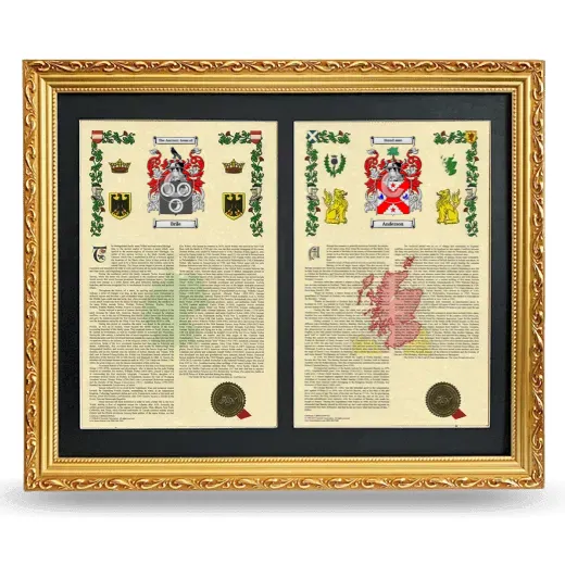 Double Armorial History Framed - Gold