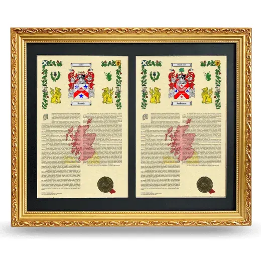 Double Armorial History Framed - Gold