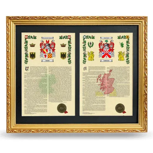 Double Armorial History Framed - Gold
