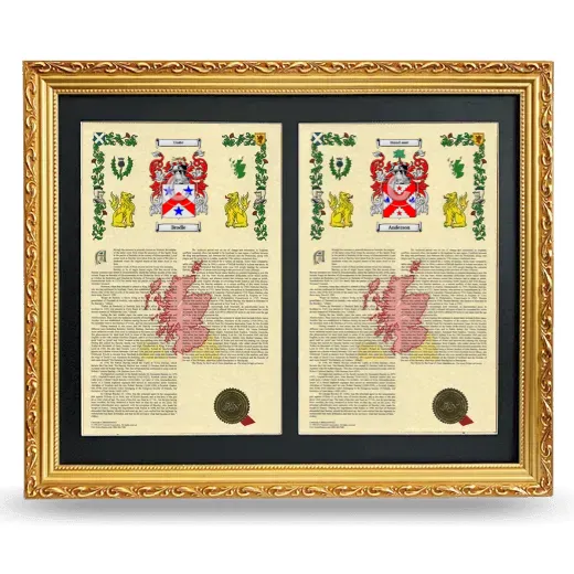 Double Armorial History Framed - Gold