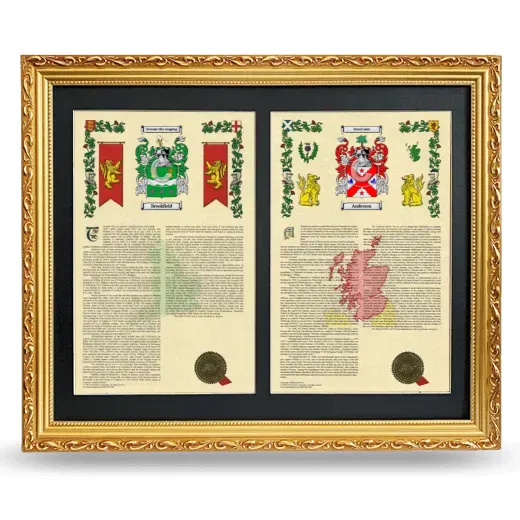 Double Armorial History Framed - Gold