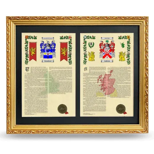 Double Armorial History Framed - Gold