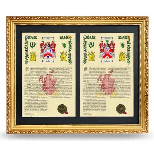 Double Armorial History Framed - Gold