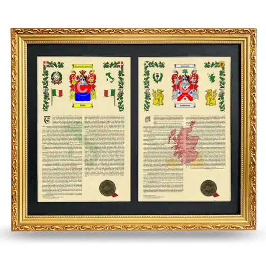 Double Armorial History Framed - Gold
