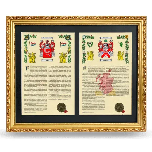 Double Armorial History Framed - Gold