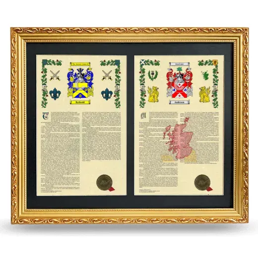 Double Armorial History Framed - Gold