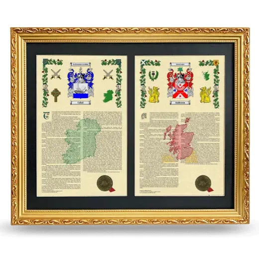 Double Armorial History Framed - Gold