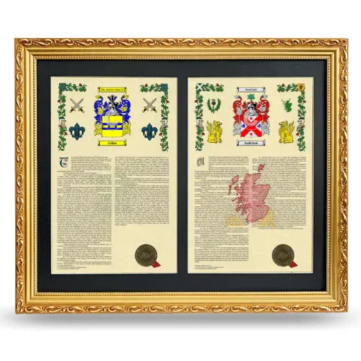 Double Armorial History Framed - Gold