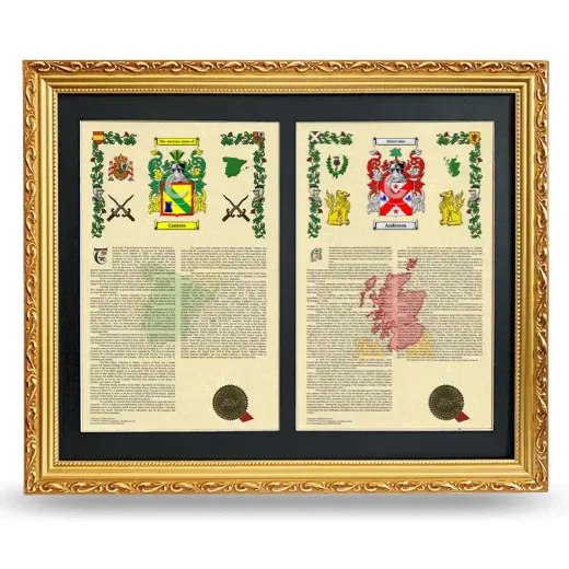 Double Armorial History Framed - Gold