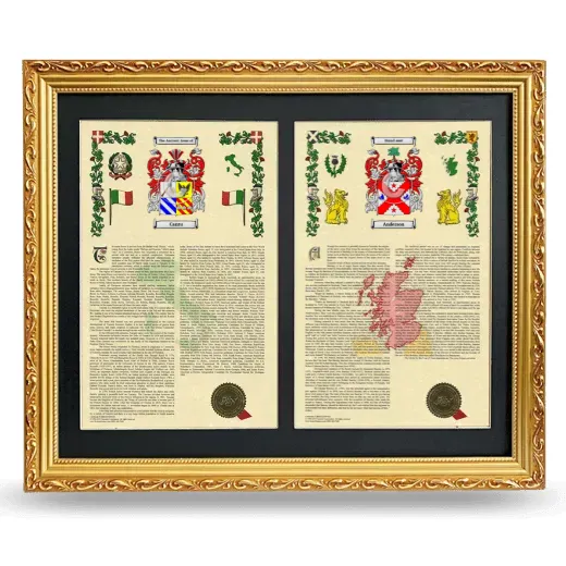 Double Armorial History Framed - Gold