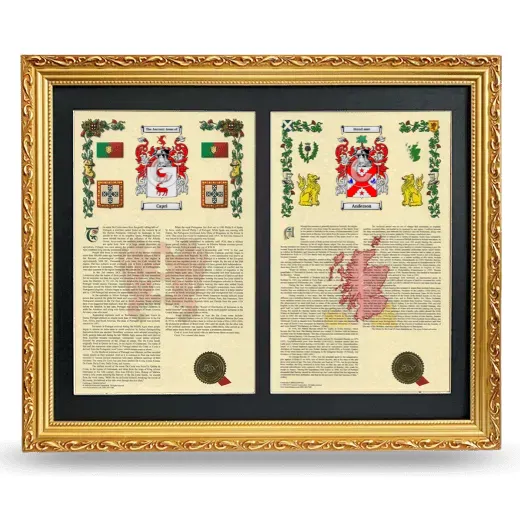 Double Armorial History Framed - Gold