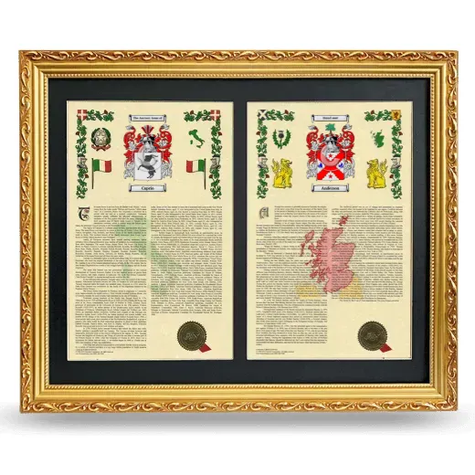 Double Armorial History Framed - Gold