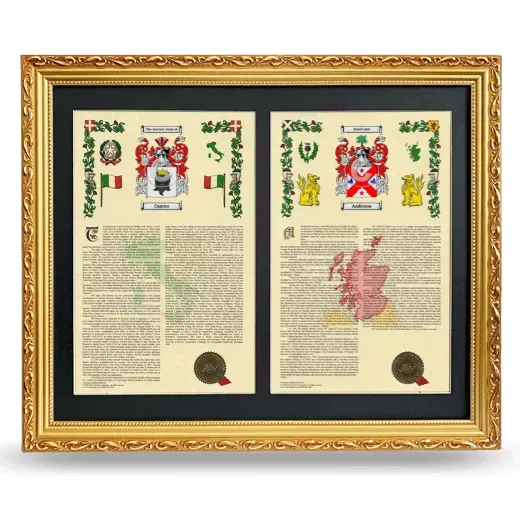 Double Armorial History Framed - Gold