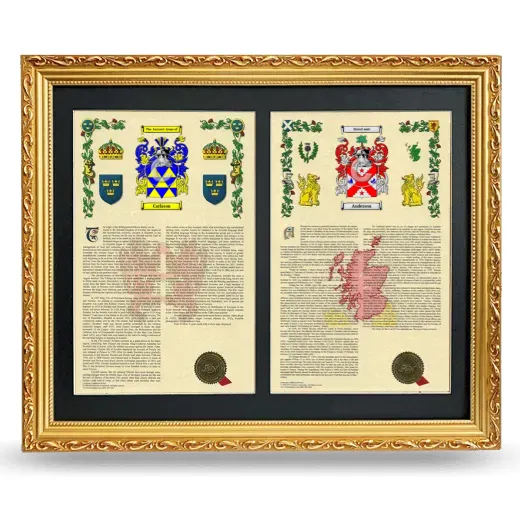 Double Armorial History Framed - Gold