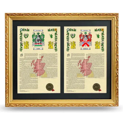 Double Armorial History Framed - Gold