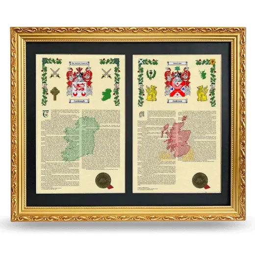 Double Armorial History Framed - Gold