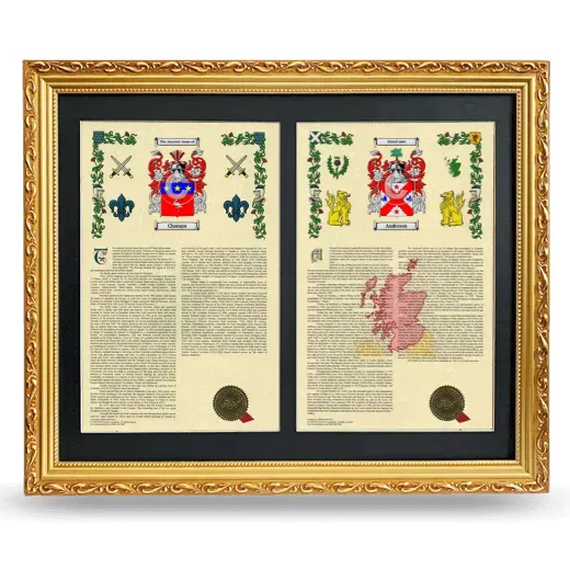 Double Armorial History Framed - Gold