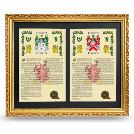 Double Armorial History Framed - Gold