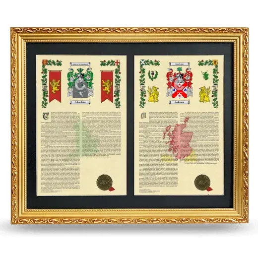 Double Armorial History Framed - Gold