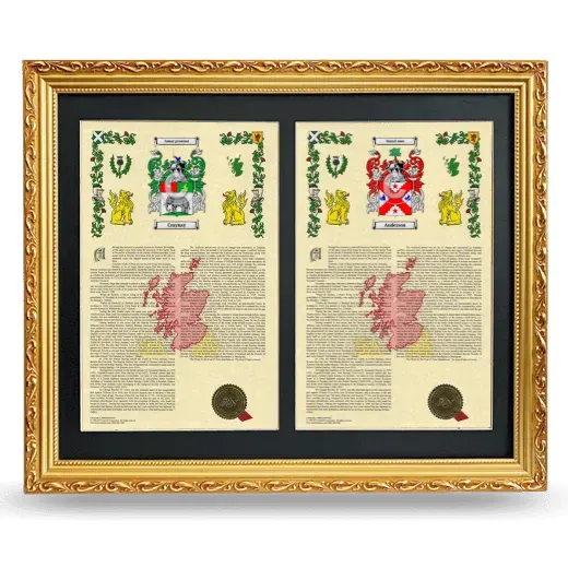 Double Armorial History Framed - Gold