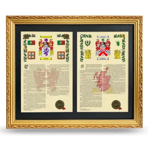 Double Armorial History Framed - Gold