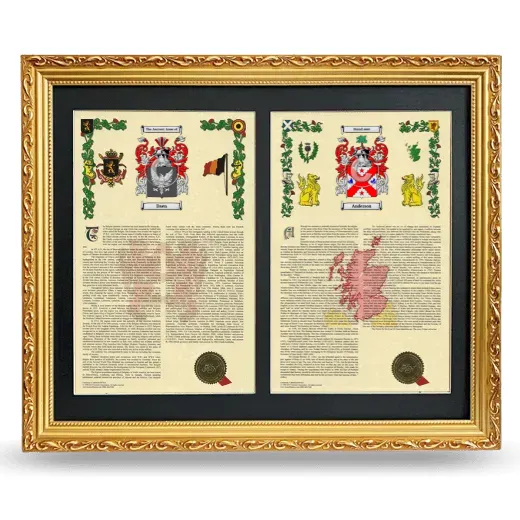 Double Armorial History Framed - Gold