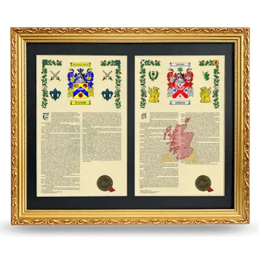 Double Armorial History Framed - Gold