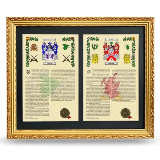 Double Armorial History Framed - Gold