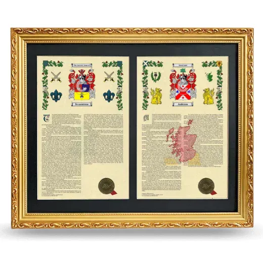 Double Armorial History Framed - Gold