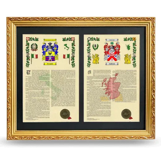 Double Armorial History Framed - Gold