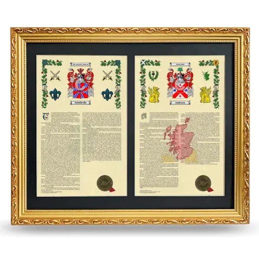 Double Armorial History Framed - Gold