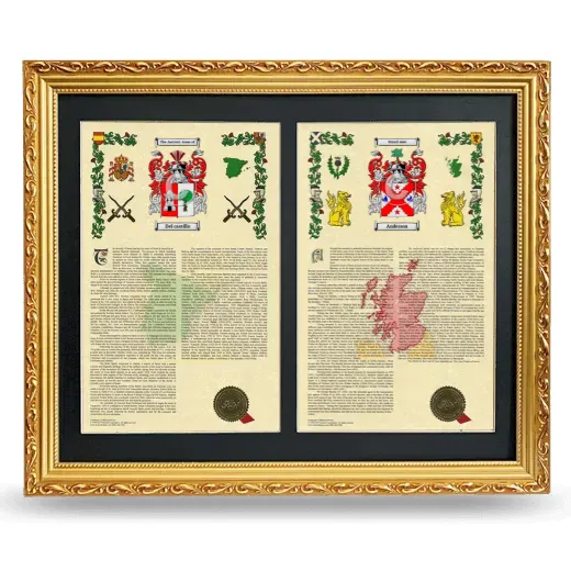 Double Armorial History Framed - Gold