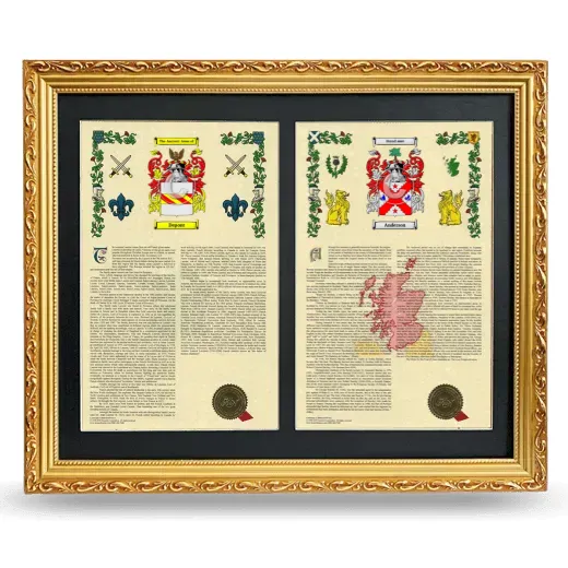 Double Armorial History Framed - Gold