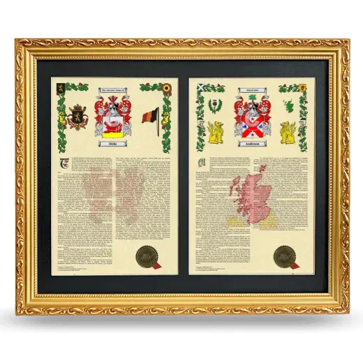 Double Armorial History Framed - Gold