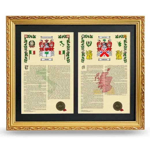 Double Armorial History Framed - Gold