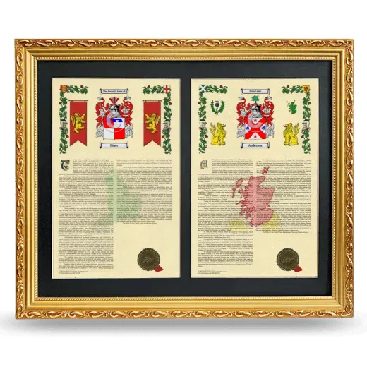 Double Armorial History Framed - Gold