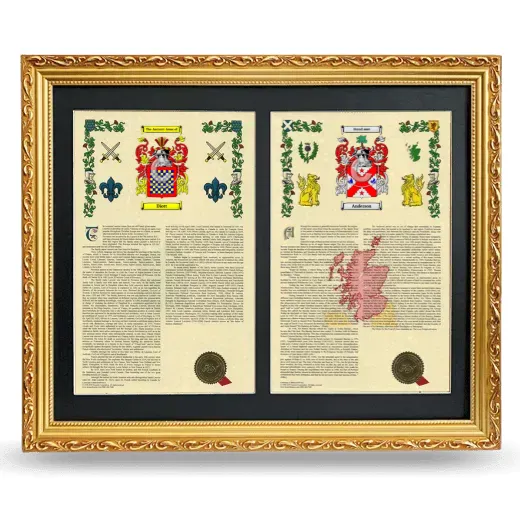 Double Armorial History Framed - Gold