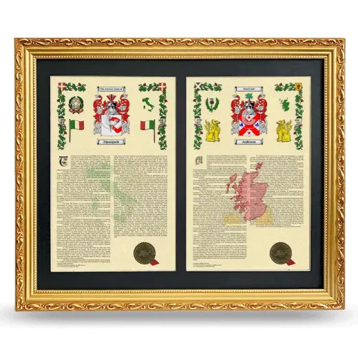 Double Armorial History Framed - Gold