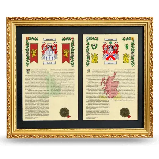 Double Armorial History Framed - Gold