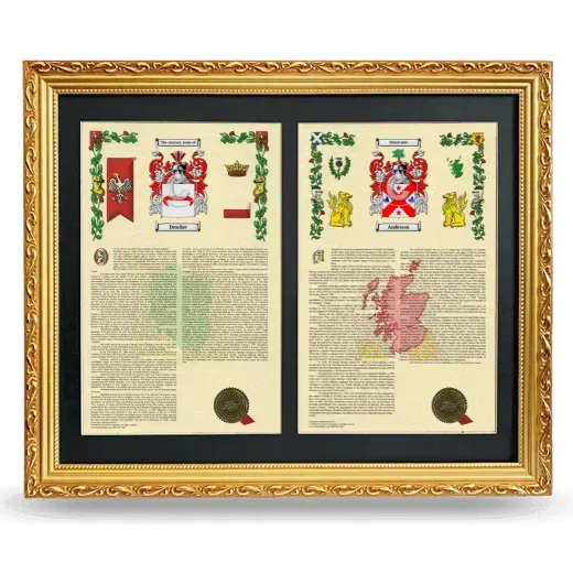 Double Armorial History Framed - Gold