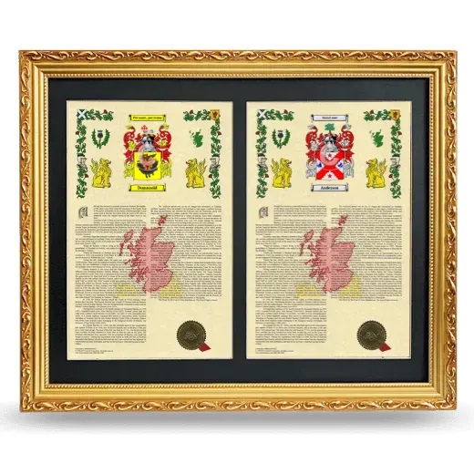 Double Armorial History Framed - Gold