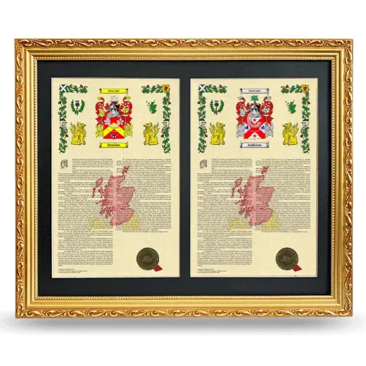 Double Armorial History Framed - Gold
