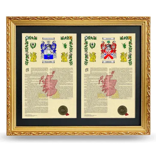 Double Armorial History Framed - Gold