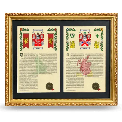 Double Armorial History Framed - Gold