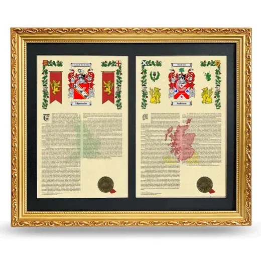 Double Armorial History Framed - Gold